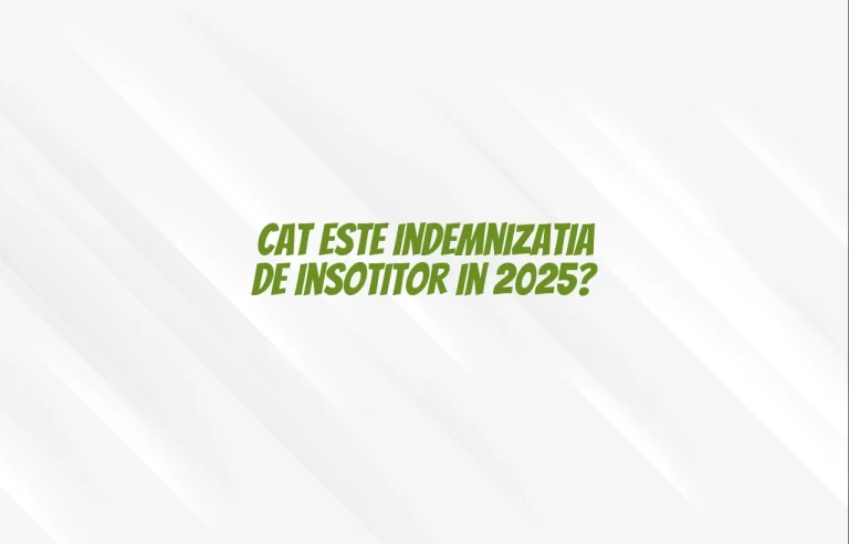 cat este indemnizatia de insotitor 2025