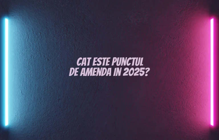 cat este punctul de amenda 2025