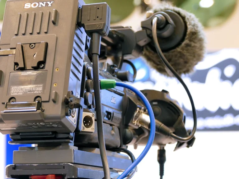 cine sunt concurentii de la survivor 2026