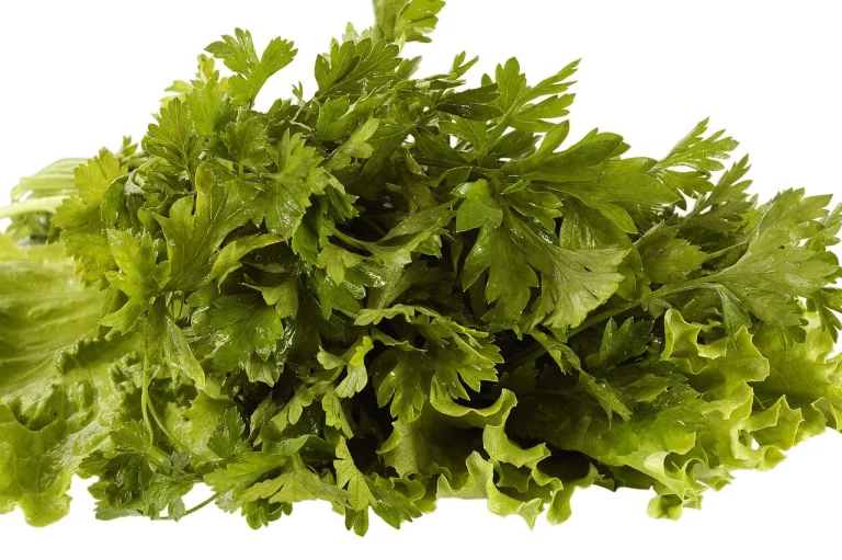 cate calorii are un covrig cu susan